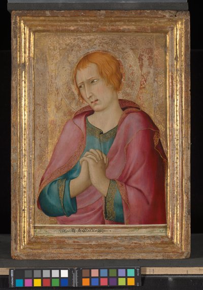 St. John the Evangelist by Simone Martini